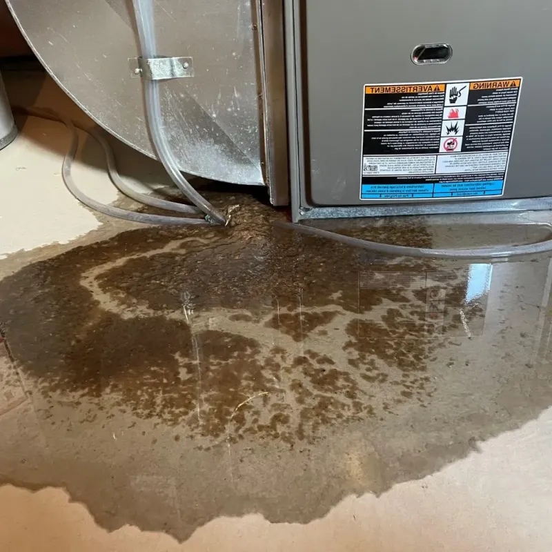 Pipe Burst and Leak Restoration in Gregory County, SD