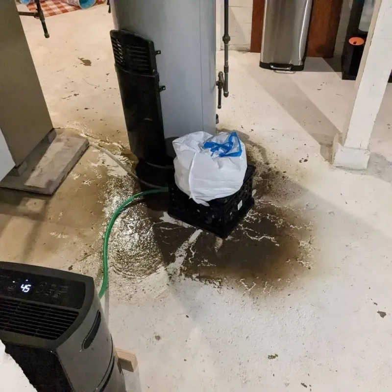 Sewage Backup Cleanup Service in Gregory County, SD